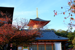 中山寺とちょっと終わりかけた紅葉