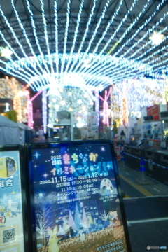 都城まちなかイルミネーション2025-10