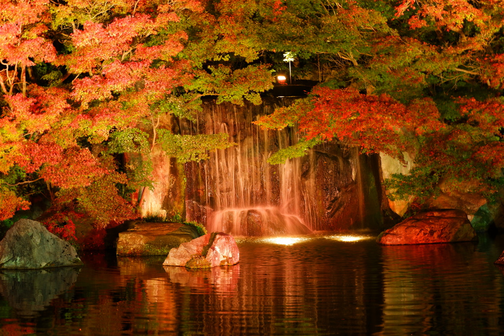漆黒の夜空と照らされる紅葉in好古園８