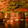 漆黒の夜空と照らされる紅葉in好古園８