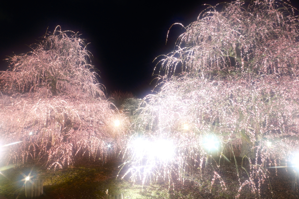 今年の3月は少し寒かった時１６