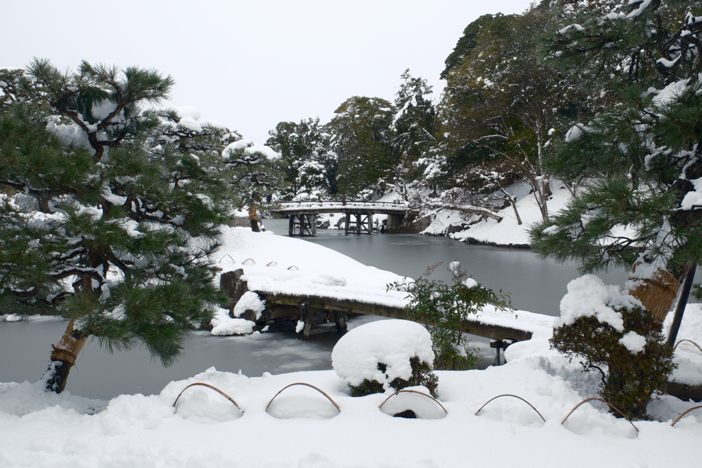 ある大雪の散策１０