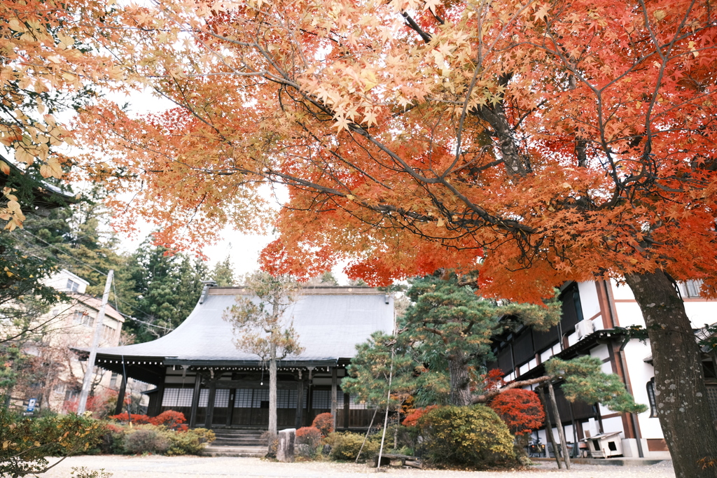 飛騨高山の紅葉巡り１５