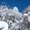 大雪の週末、僅かな晴空１