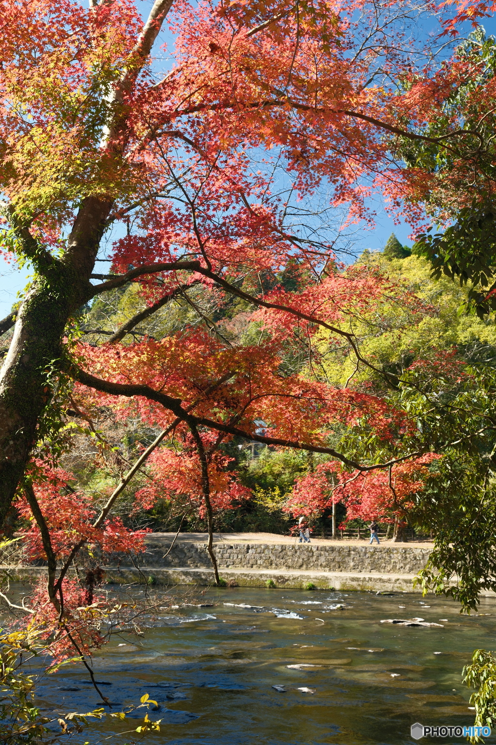 秘境で穴場な紅葉の旅５
