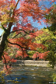 秘境で穴場な紅葉の旅５