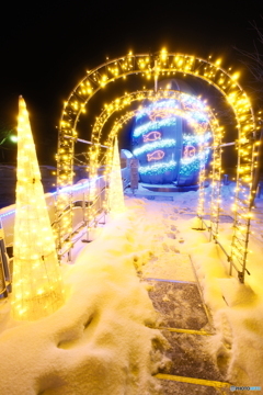 イルミネーションinひみ７