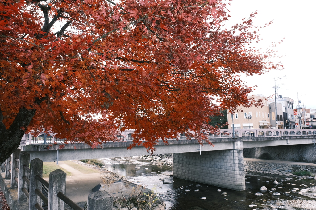 飛騨高山の紅葉巡り５