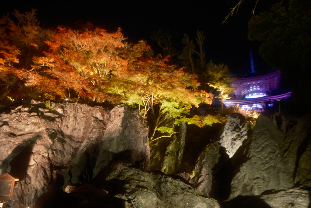 石山寺 あたら夜もみじ６