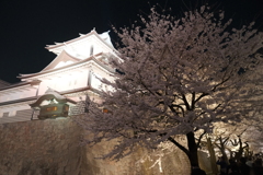 終電迄時間がなかったので大急ぎで撮った夜桜、金沢城公園２