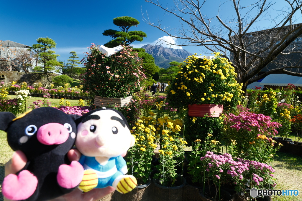 紅葉がメインにならなかった時２