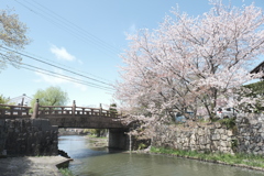 桜の季節が終わった時、GWで滋賀へと異動となります２
