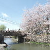 桜の季節が終わった時、GWで滋賀へと異動となります２