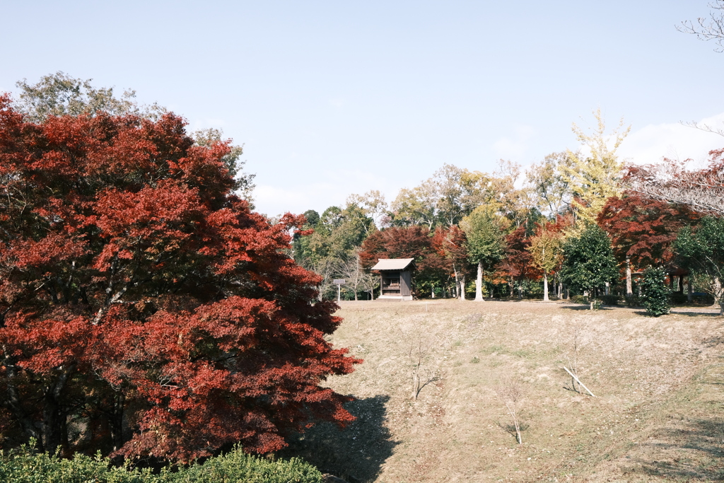 11/15にして今年の日中最後の紅葉巡り１６
