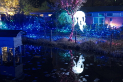 びわ湖大津館2021イルミネーション「妖精たちと幻想的な光の世界」１１