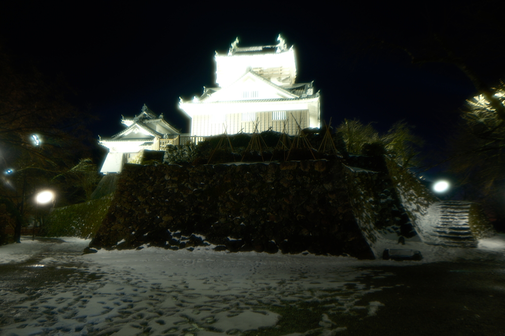 休業で時間があっても自然相手にはどうにもならなかった１１