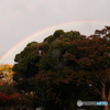 2024-11瞬きを見上げたら虹1