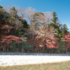 11月下旬にてやっと見頃の紅葉を見れた時６