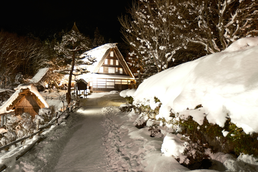 1月末大雪で水漏れの被害に、たまたまの年休で1泊2日の旅へ２８