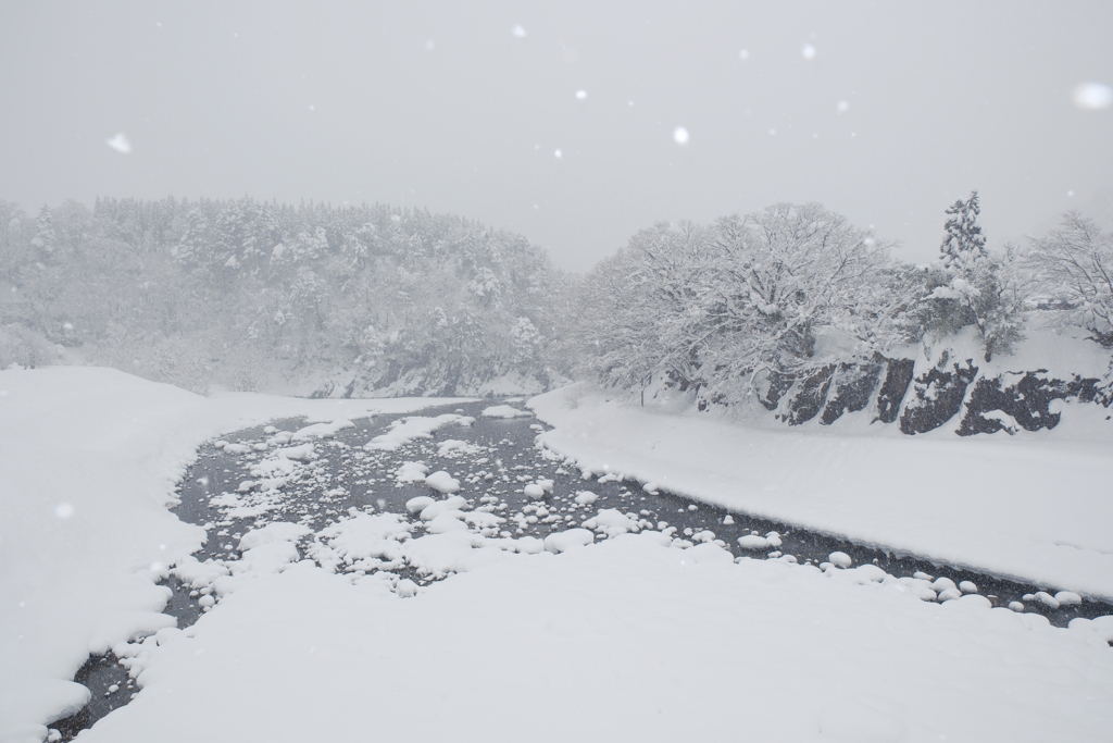 1月末大雪で水漏れの被害に、たまたまの年休で1泊2日の旅へ３８