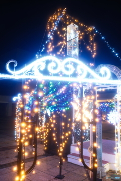 チューリップ公園KIRAKIRAミッション2024-9