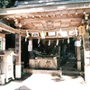 太郎坊宮、阿賀神社にて８