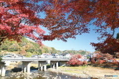 香嵐渓の紅葉１