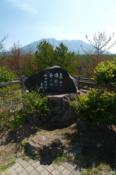 桜島を巡る旅５