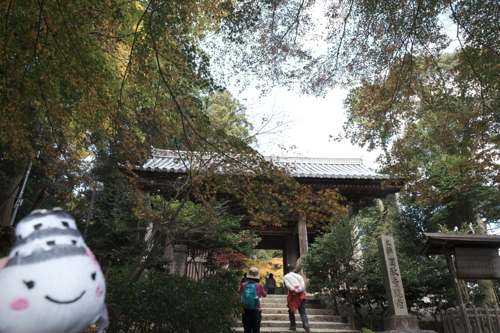 仕事は休業中、紅葉は播州、書写山圓教寺にて１