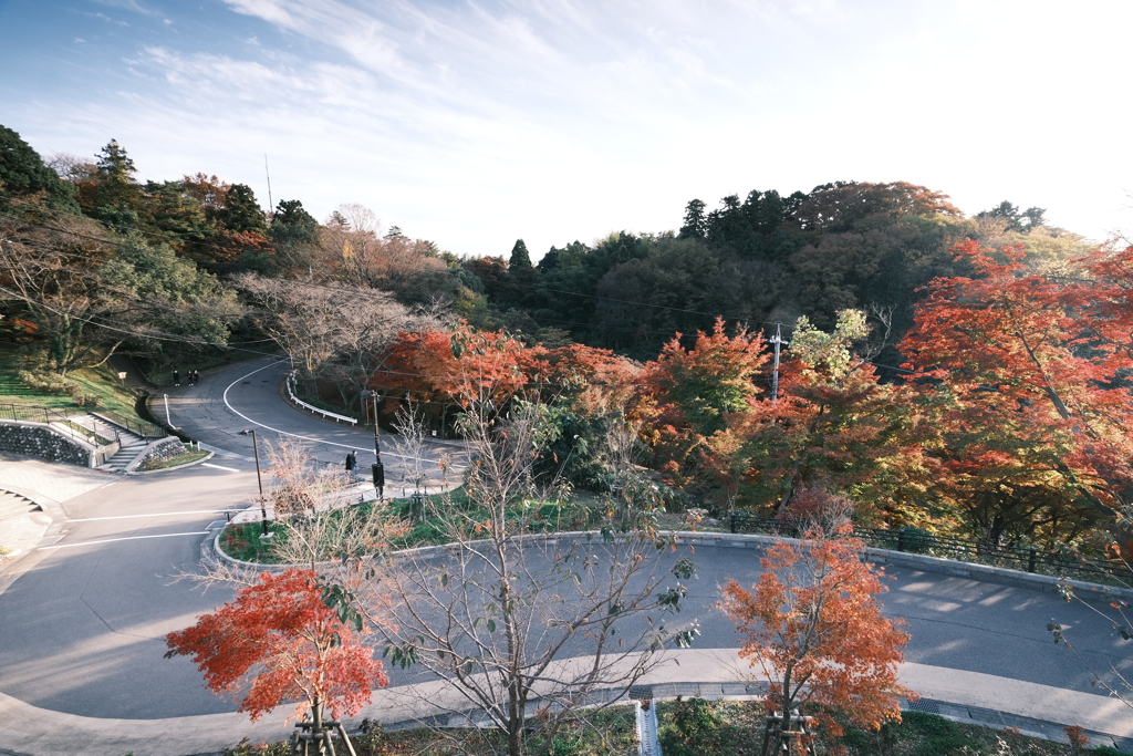 卯辰山公園の紅葉巡り２