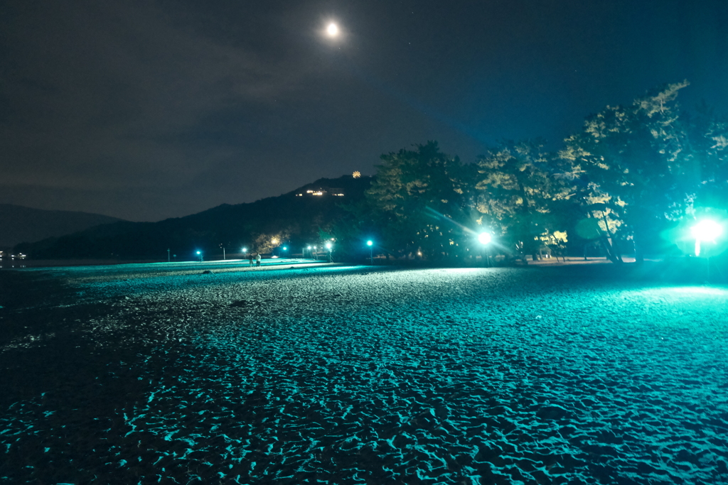 真夏の夜を照らす天橋立８