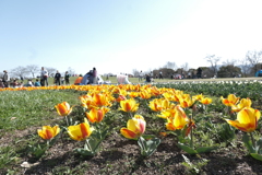 一日中絶好のお写んぽ日和１