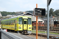島根県桜巡り２日目、木次駅にて３