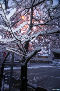 年末最終夜勤明けの近場１