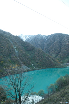 トロッコ列車に乗って2024-8