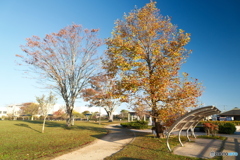 思えば九州で紅葉を撮りに行くのは初めての旅だった１１