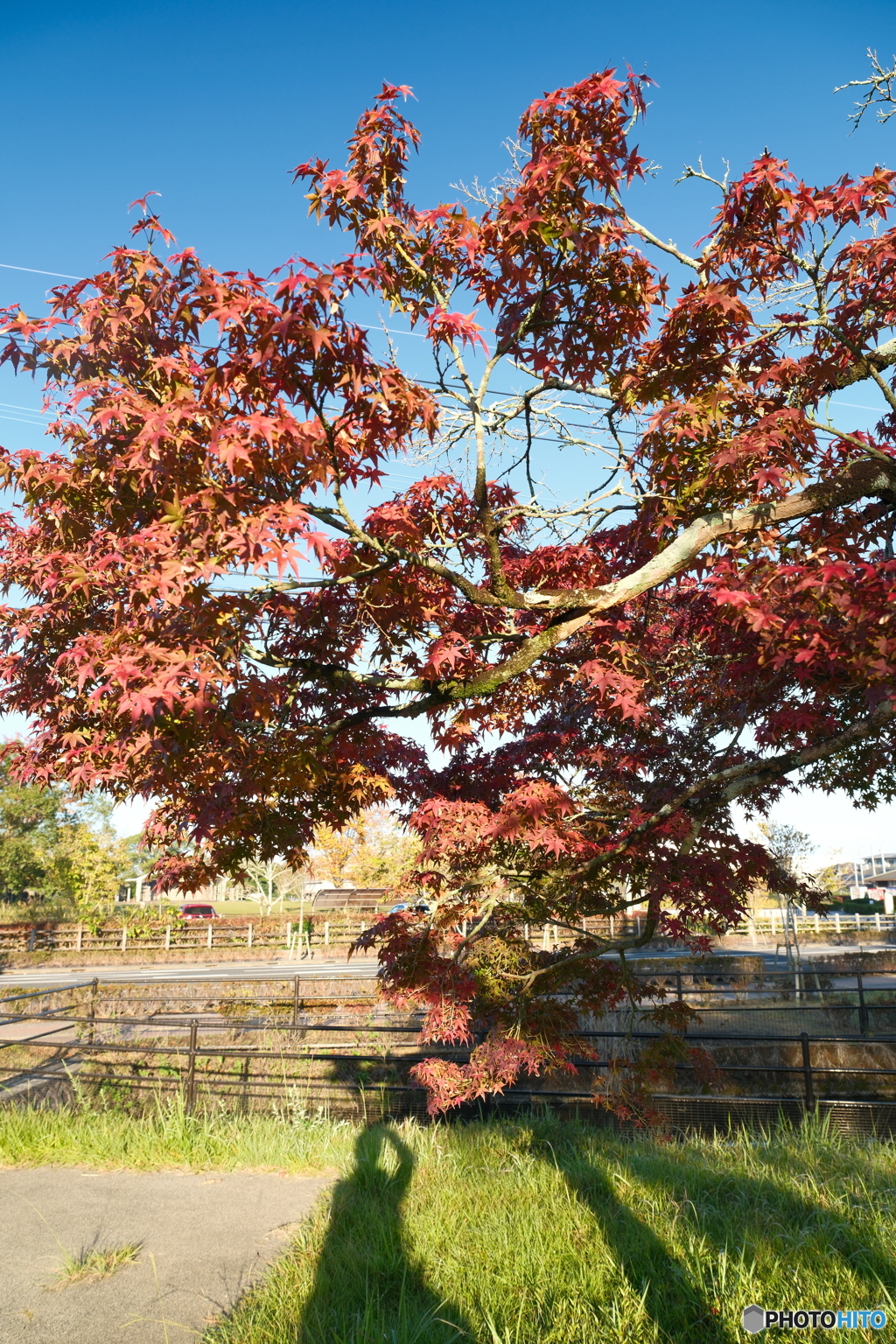 思えば九州で紅葉を撮りに行くのは初めての旅だった１２