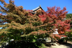 晩秋な薬師寺