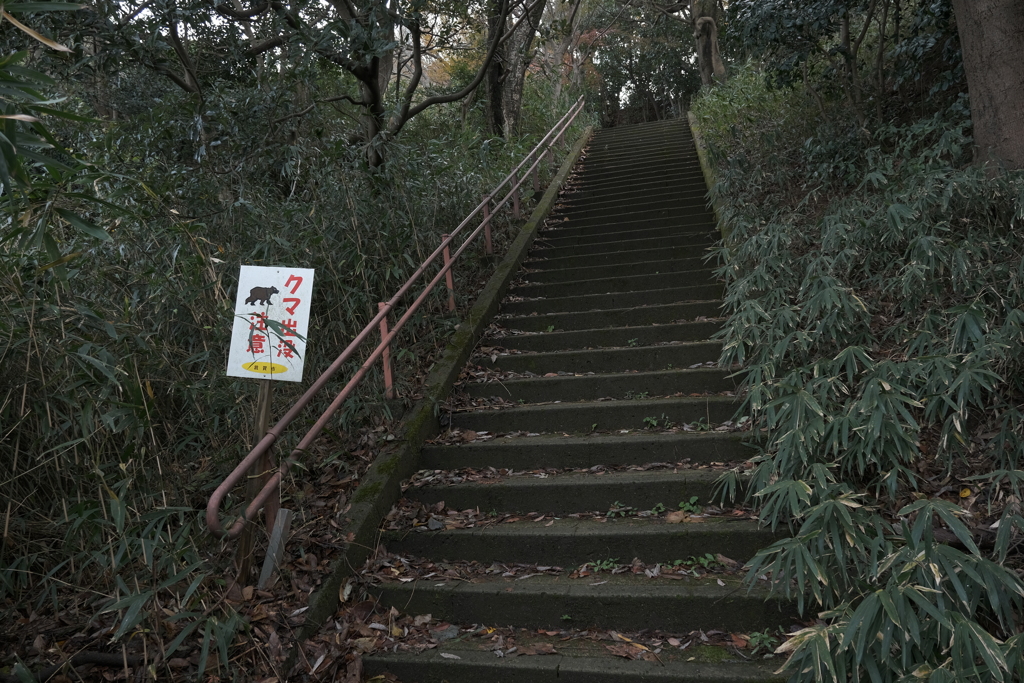 クマ出没、注意