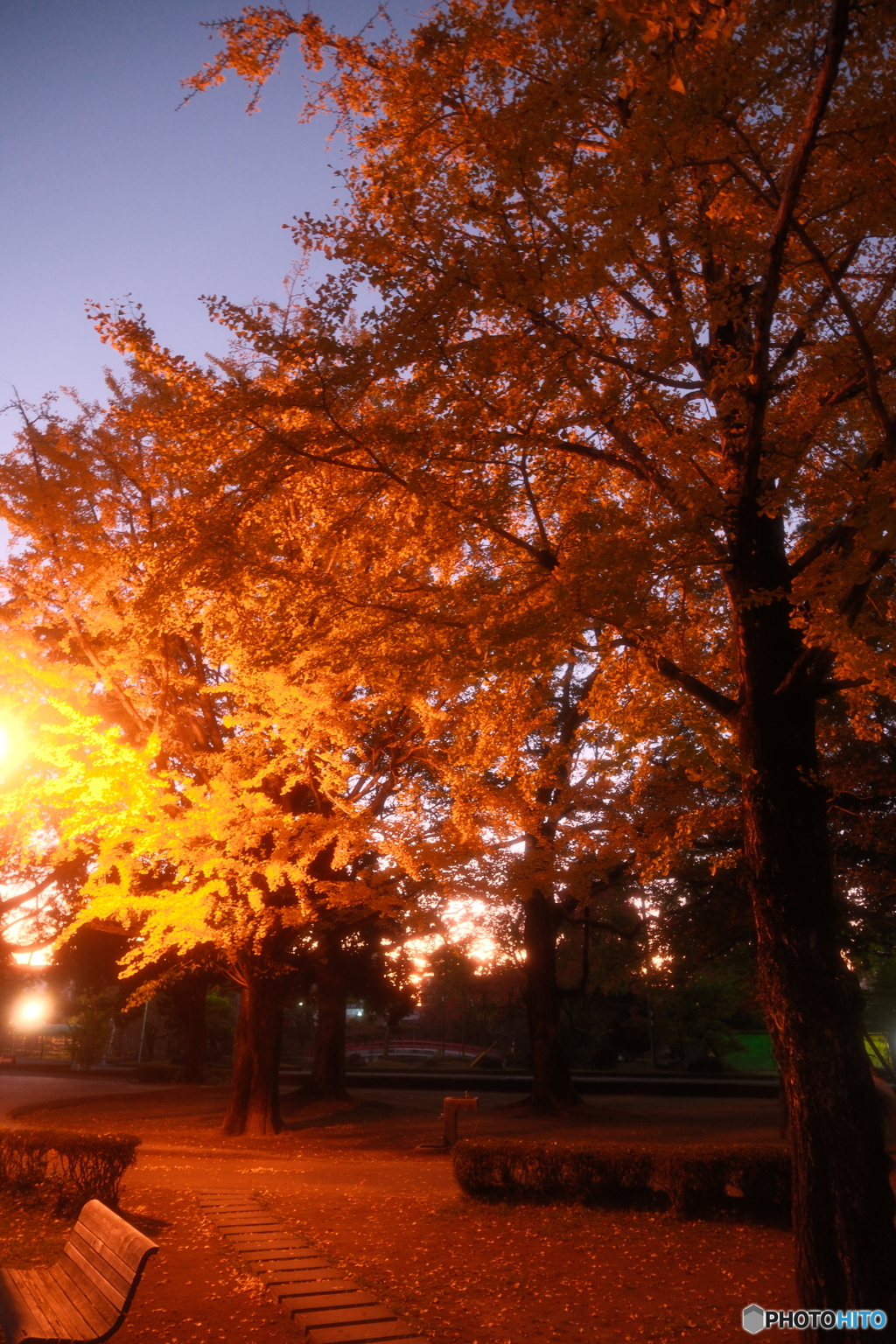 都城市に着いてイルミネーションへ向かう時の夕景３