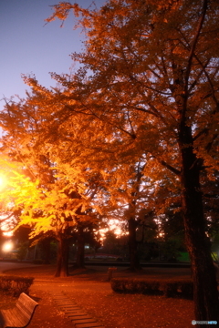 都城市に着いてイルミネーションへ向かう時の夕景３