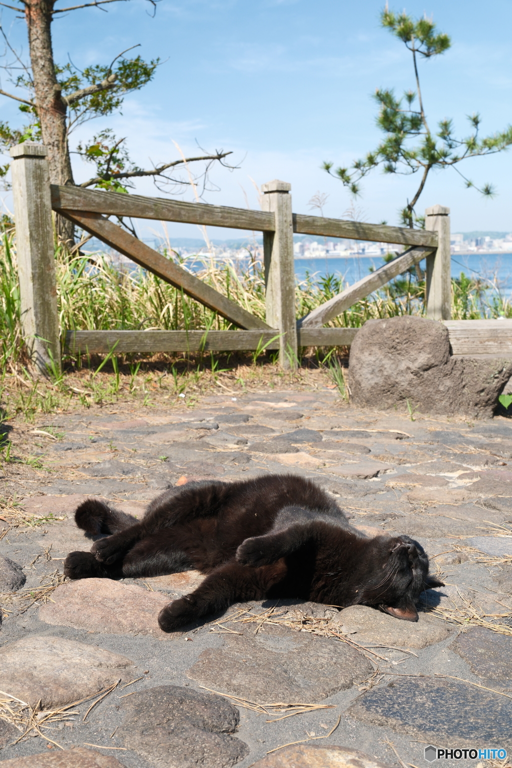 桜島を巡る旅４