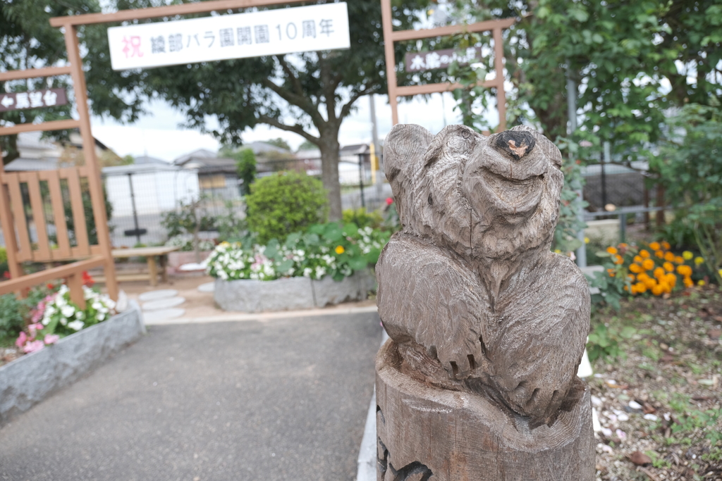 ちょっとだけ変わった所があるあやべグンゼスクエアのバラ園５