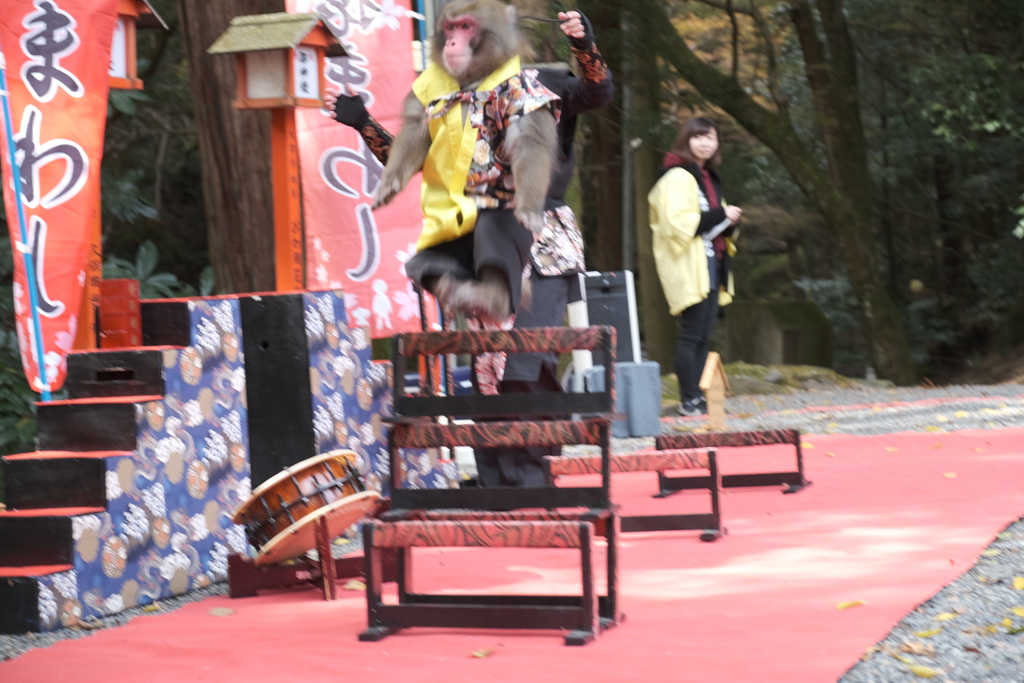 猿まわしのハードルジャンプ