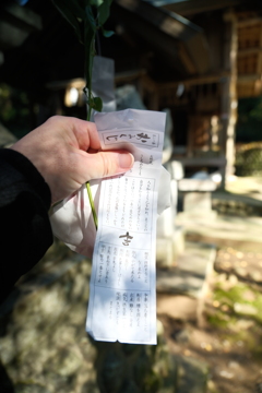 初詣にひいたおみくじ