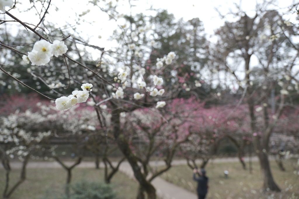 何気に京都市内の写真は久しぶり５
