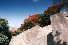 金沢城公園の紅葉巡り３