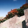 金沢城公園の紅葉巡り３