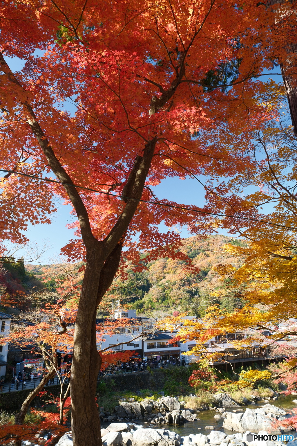 香嵐渓の紅葉１１