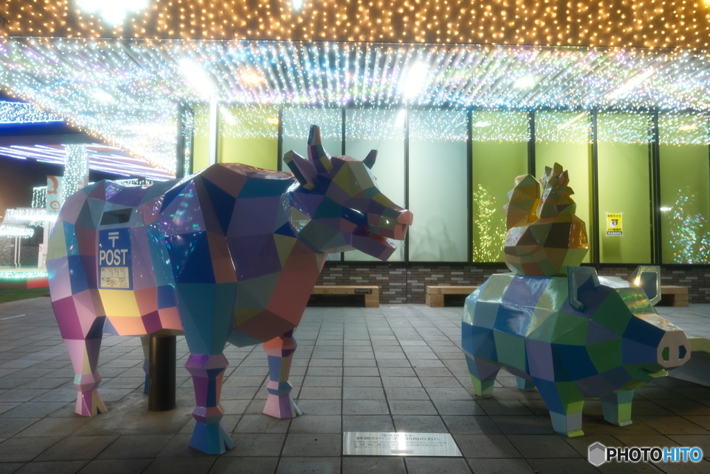 道の駅都城NIQLLのイルミネーションを見にくる８